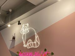 -浣熊柯尔鸭土拨鼠·电玩咖