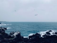 -龙头岩(Dragon Head Rock)