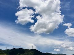 -盐洲岛