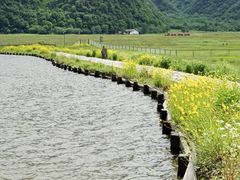 -大九湖