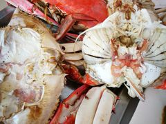 -渔民船说·北塘海鲜·天津菜·海肠捞饭(北塘古镇店)