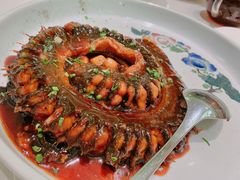 红烧河鳗-蝶园·装修中(BFC外滩金融中心店)