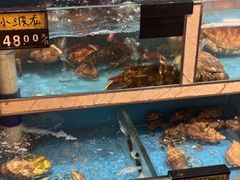 -鲜炉季港式打边炉(尚海湾店)