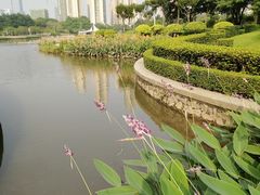-文华公园(禅城区)