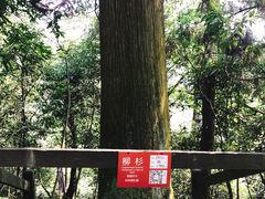 -天目山-昭明禅寺