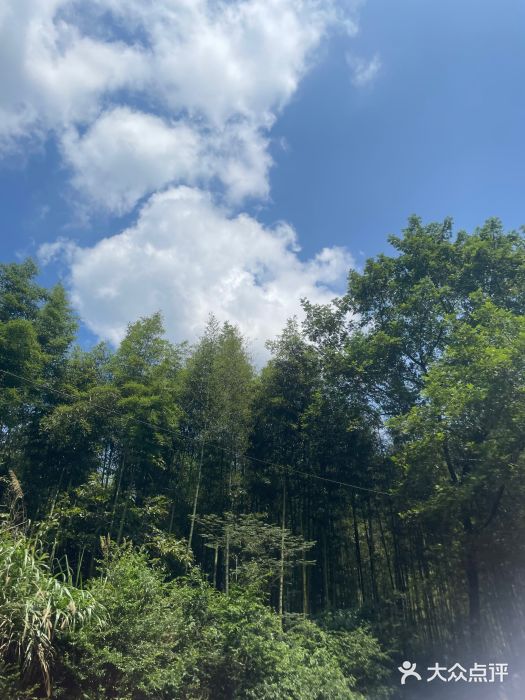 雅鲁激流探险漂流图片