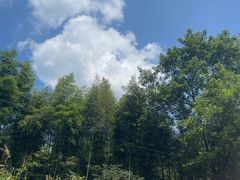 -雅鲁激流探险漂流