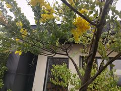 -艾溪湖湿地公园