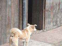 -平乐古镇