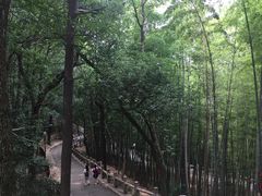 -灵岩山风景区