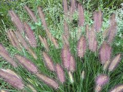 -青州市云门山风景区