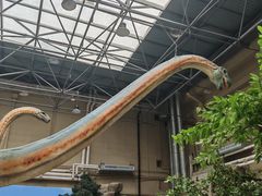 -国家自然博物馆