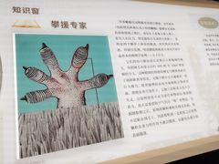 -广东省博物馆