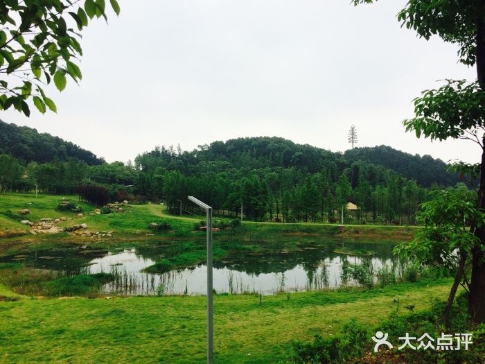 尖山湖公園-圖片-長沙景點/周邊遊-大眾點評網