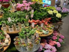 -豆豆花艺(新光天地店)