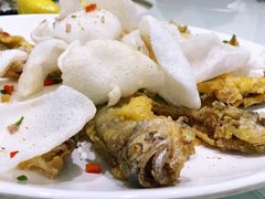 -汤山温泉房车营地 茶温泉