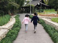 -活水公园