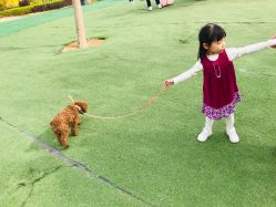 -萌宠亲子动物乐园(槐房万达店)