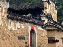 -杨家堂村