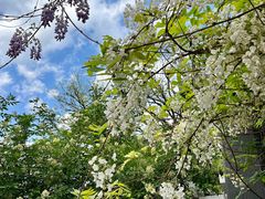 -国家植物园南园