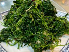 -都江堰石锅鱼