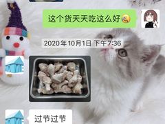 -宠物之家Pets Home 宠物寄养酒店