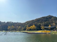 -千年银杏谷文化旅游区