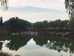 -黄河富景生态世界