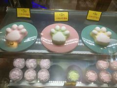 -猫咪博物馆(顶澳仔猫街店)