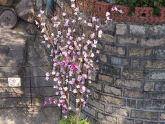 -胡里山炮台
