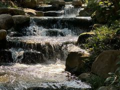 -中国茶叶博物馆(双峰馆区)