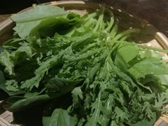 -东道煮牛肉火锅(东盛大街店)