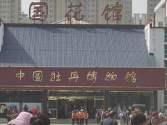 -曹州牡丹园