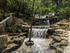 -北京西山国家森林公园