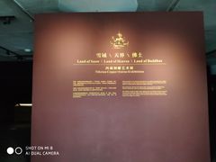 -敦煌石窟文物保护研究陈列中心