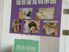 -怪兽屋·羊驼·猫咖·狗咖(俊华广场店)