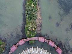 -芒洲湿地公园