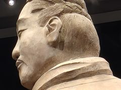 -秦始皇帝陵博物院-丽山园