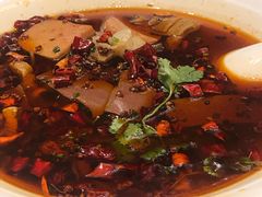 -上海中航虹桥机场泊悦酒店