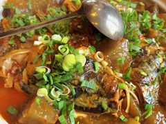 -陈厨(新苑小区店)