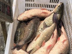 -正宗上海陆记熏鱼