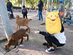 -石家庄市动物园