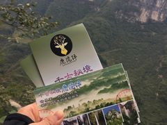 门票-鹿院坪生态旅游景区