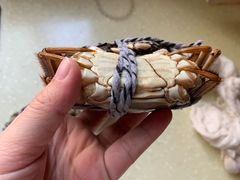 -乡乐园蟹庄·阳澄湖农家乐