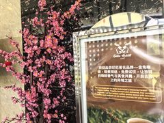 -巴厘岛黄金金兔咖啡工厂