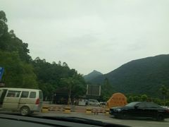 -银瓶嘴森林公园