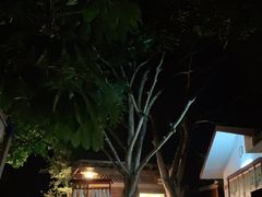 -碧水湾温泉