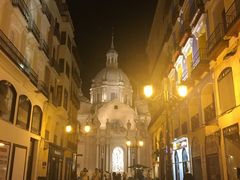 -皮拉尔圣母圣殿主教座堂