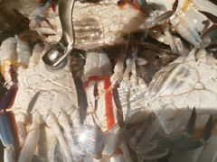 -百年恒益烧腊海鲜酒家·非遗传承(广州黄埔店)