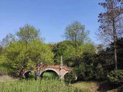 -蠡湖中央公园
